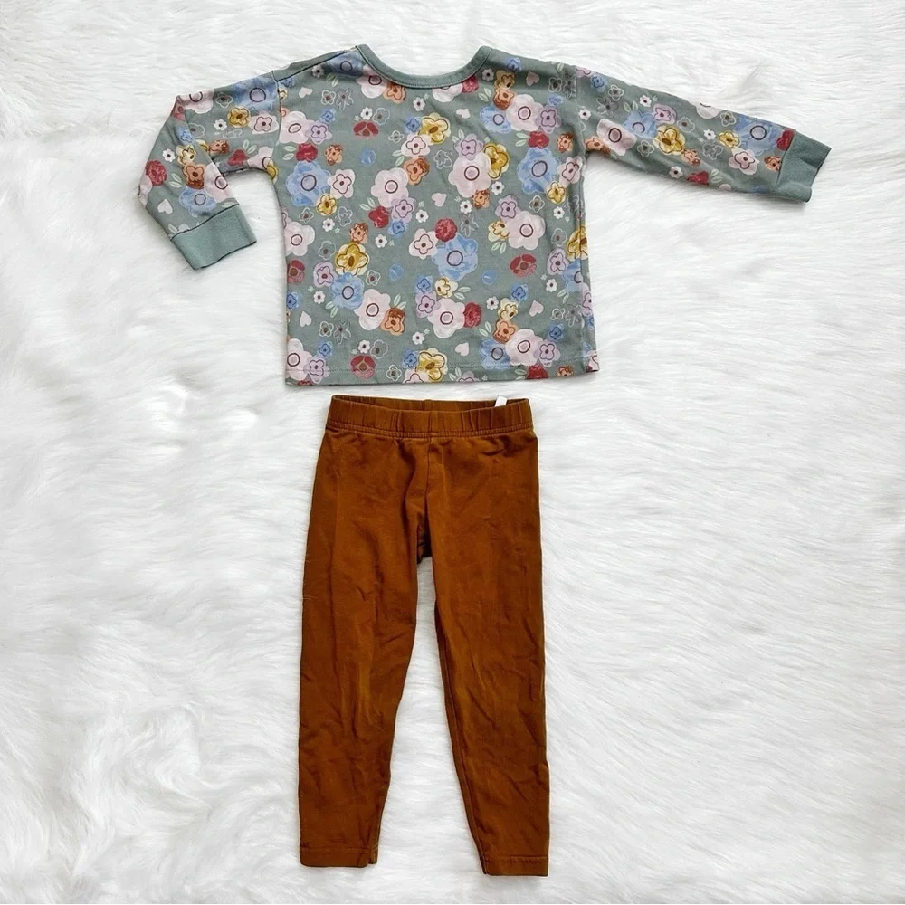 3T Girls Toddler Long Sleeves and Pants Clothes LOT